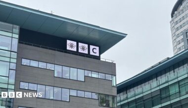 BBC logo sign in style of worker bees