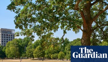 Access-to-nature crisis ‘on par with that of Victorian Britain’s filthy air’ | Access to green space