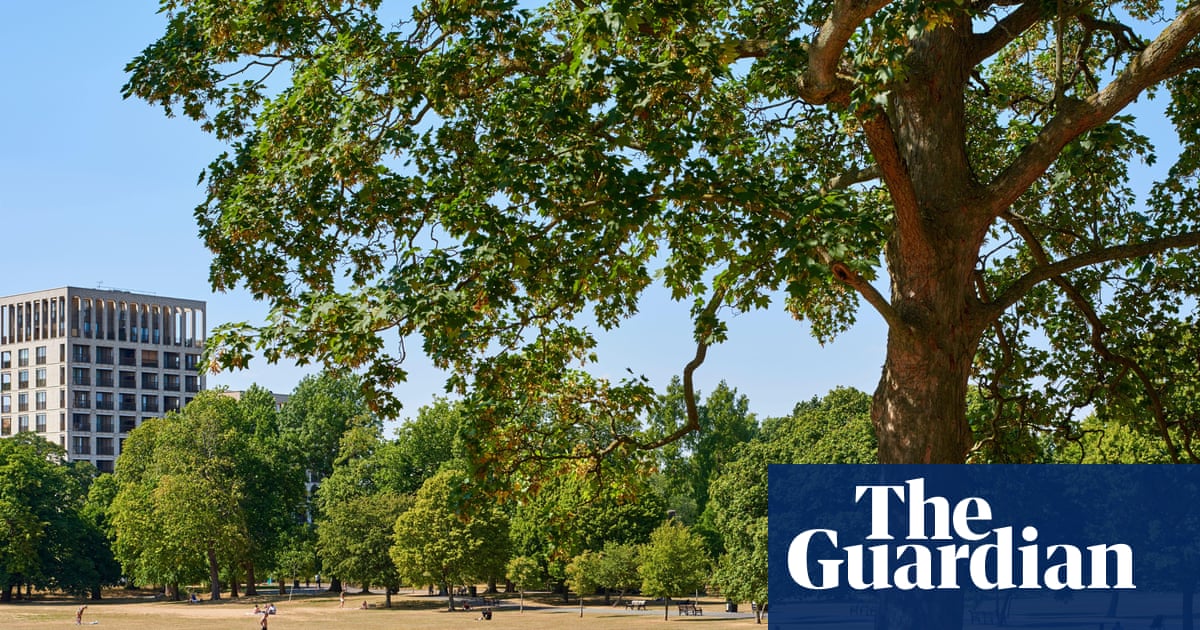Access-to-nature crisis ‘on par with that of Victorian Britain’s filthy air’ | Access to green space
