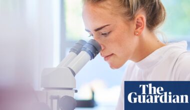 Can you futureproof your career by choosing an AI-resistant degree? | Higher education