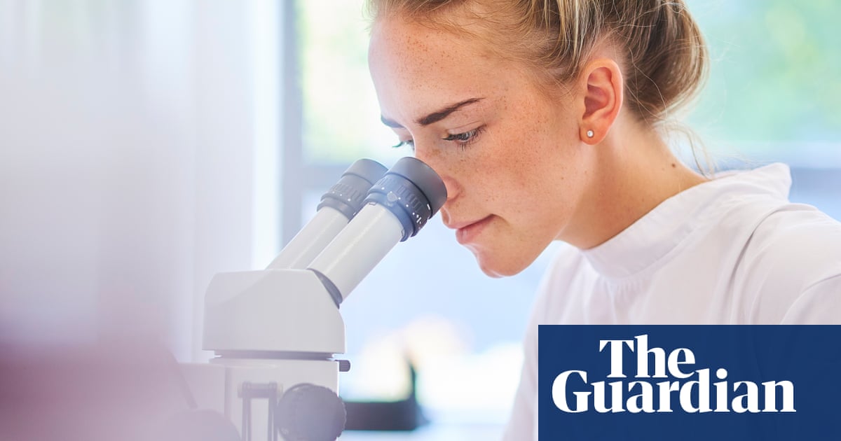 Can you futureproof your career by choosing an AI-resistant degree? | Higher education