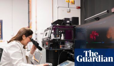 Researchers hope powerful new microscope will reveal ‘root cause’ of incurable bowel disease | Health