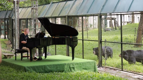 Rick Wakeman plays piano at bear sanctuary – video