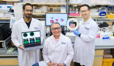NUS scientists harness magnetic pulses to reprogram immune cells to fight breast cancer