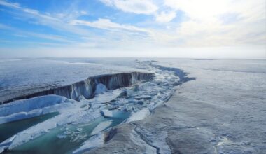 The rift that formed in the Milne Ice Shelf following the 2020 calving event