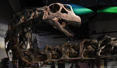 Thailand's 'Jurassic Park' aims to bring in tourists