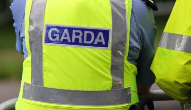 Woman dies after trench collapse in Co Limerick – The Irish Times