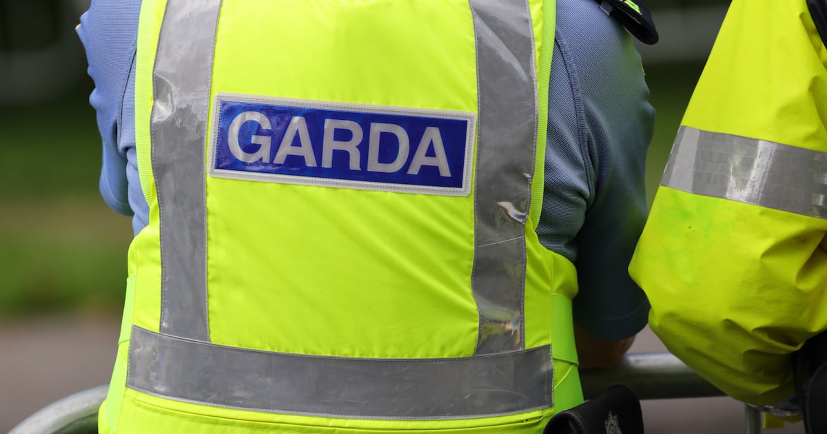 Woman dies after trench collapse in Co Limerick – The Irish Times