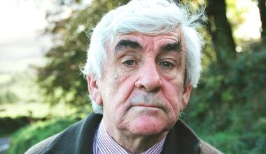 Former Irish Times chief critic Brian Fallon dies aged 93 – The Irish Times