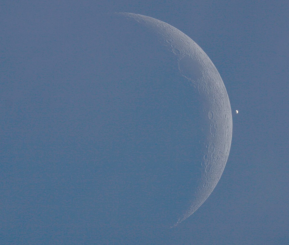 A lunar occultation of Venus. Credit: Pete Lawrence