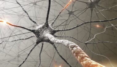 Study highlights drop in harmful medication use among adults with cognitive disorders
