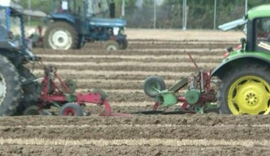 Old skills meet new technology at Ireland's ploughing championships
