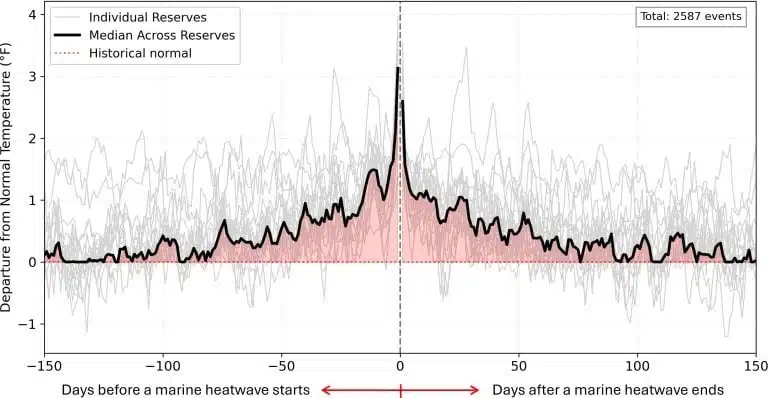 A Review Of 2,587 Marine Heatwaves Shows That Ocean Warming Often Begins Earlier And Lasts Longer Than Expected.