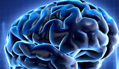 Rochester Public Schools expands mental health teaching
