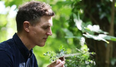Documentary maker Eoin Warner: ‘As a child I realised I had been gifted this thing by nature’ – The Irish Times