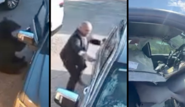 Colorado Springs man rescues bear from truck, but not the truck from the bear