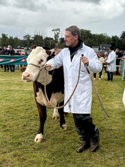 John Brennan showing Hereford bulls at the Dualla Show in the new season of At Your Service. Photograph: RTÉ