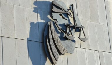 Man (33) charged with murder of his mother in Galway city – The Irish Times