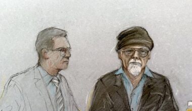 Gary Glitter pleads not guilty to repeated sexual abuse of girl in 1970s and 80s – The Irish Times
