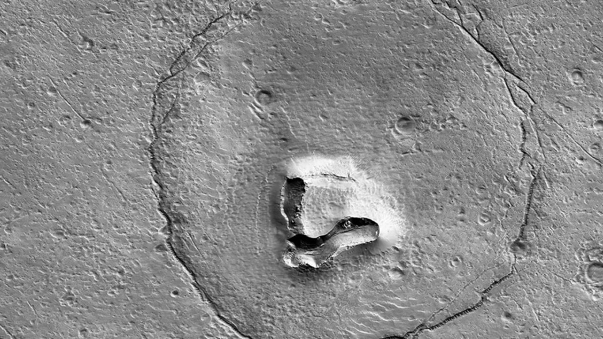 Astronomers Spotted a 'Bear' on Mars : ScienceAlert
