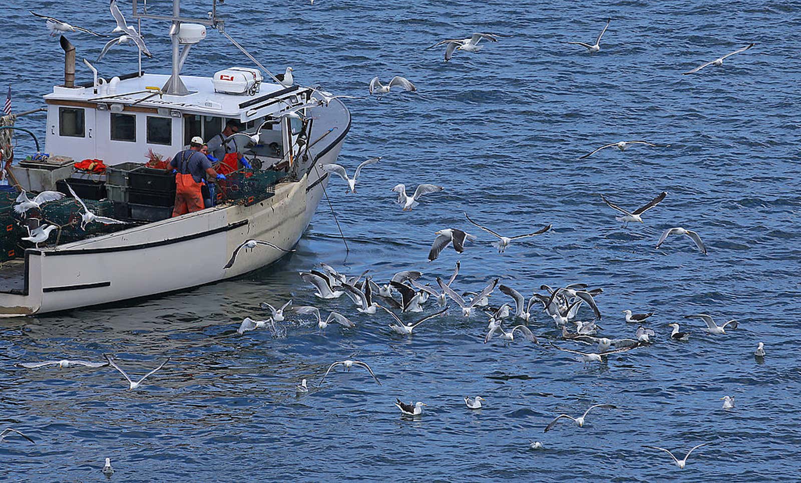 Boston lobster boat