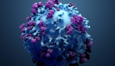 UNC researcher wins major grant to study the role of endoplasmic reticulum in T-cell metabolism