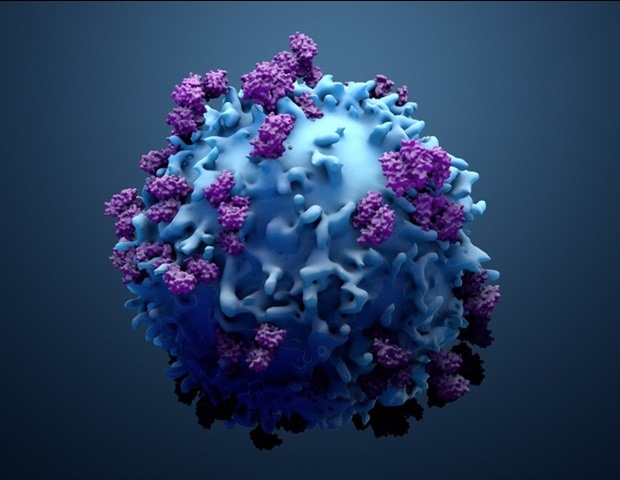 UNC researcher wins major grant to study the role of endoplasmic reticulum in T-cell metabolism