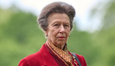 Princess Anne's 'withering' response to Earl Spencer revealed
