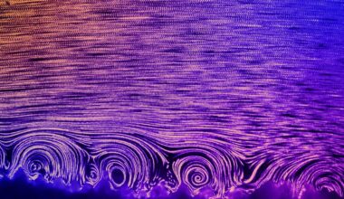 Tiny Hairs That Help Corals Breathe May Malfunction in Warming Oceans