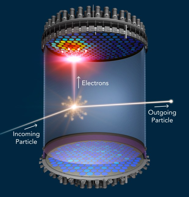 When a WIMP collides with a xenon atom, the xenon atom emits a flash of light and electrons. The light is detected at the top and bottom of the liquid xenon chamber. An electric field drifts the electrons to the top of the chamber, where they generate a second flash of light. (Sanford Underground Research Facility)