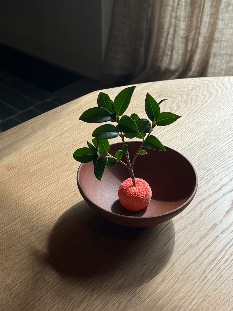 Ómós strawberry tree