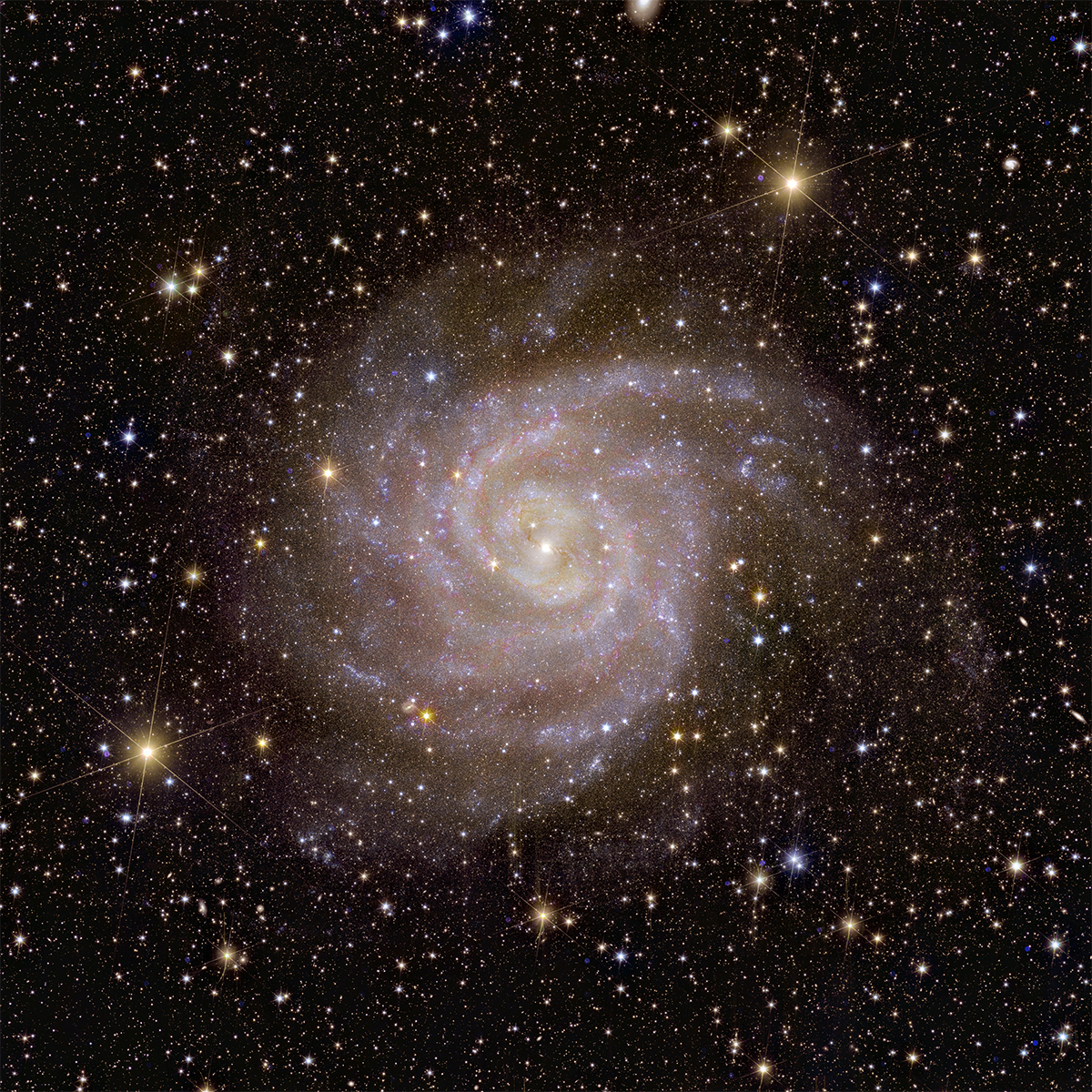 Spiral galaxy IC 342, captured by the European Space Agency's Euclid mission. Released 7 November 2023. Credit: ESA/Euclid/Euclid Consortium/NASA, image processing by J.-C. Cuillandre (CEA Paris-Saclay), G. Anselmi; CC BY-SA 3.0 IGO