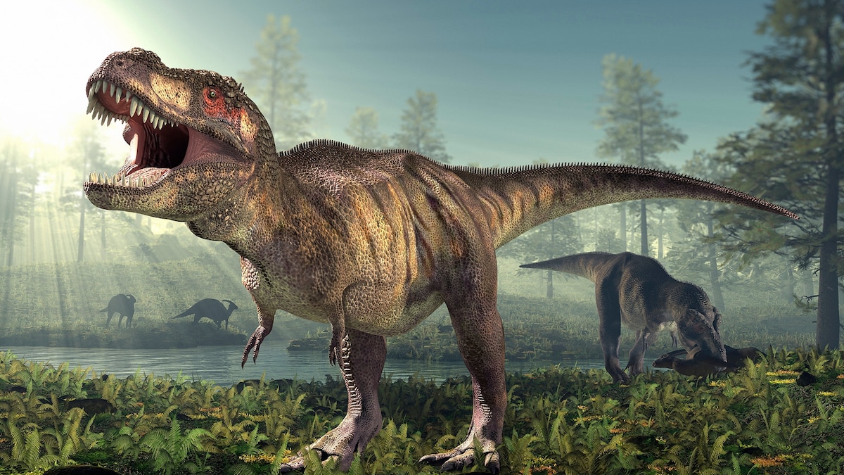 Can You Draw a T. Rex Correctly?