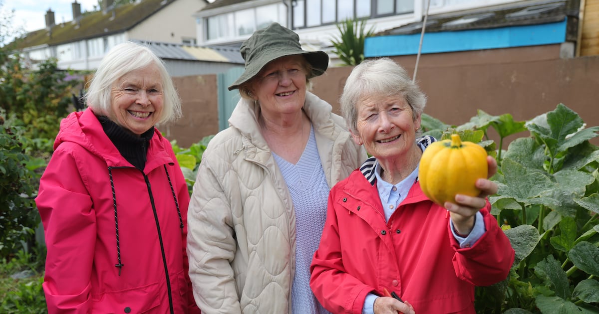 Ireland’s Greenest Places longlist: ‘Those with an acute sense of a warming world stand out’ – The Irish Times