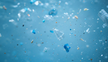 Lung cancer patients found to have more microplastics within their lungs