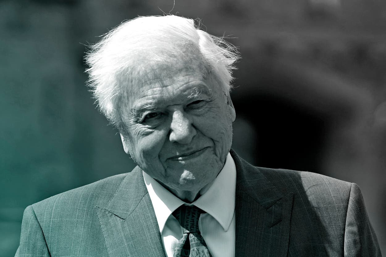 2026climate100 Sir David Attenborough
WINDSOR, ENGLAND - JUNE 08: Sir David Attenborough after being appointed a Knight Grand Cross of the Order of St Michael and St George following an investiture ceremony at Windsor Castle on June 8, 2022 in Windsor, England. (Photo by Andrew Matthews - Pool/Getty Images)