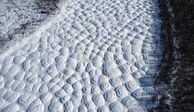 Aerial image showing a bumpy landscape caused by melting permafrost in eastern Siberia.