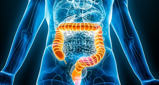 IBD