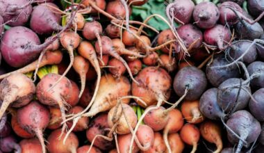 An expert says don't waste your money on beetroot supplements—try this instead