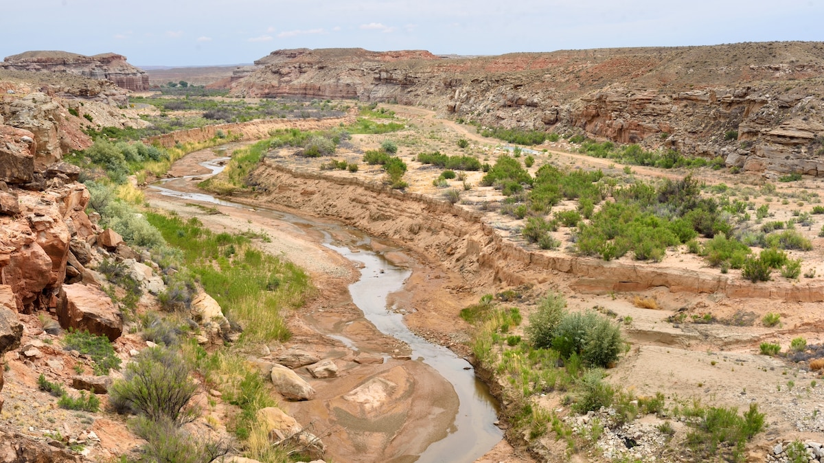Can This Army of Drones Solve the West’s Water Crisis?