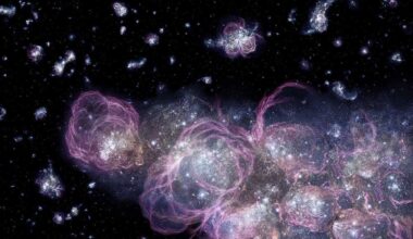 The earliest stars in the Universe began forming some 100 million years after the Big Bang. They lived fast, died young, and left behind material that got recycled into the next generations of stars. Along the way, these also influenced the evolution of their galaxies. CREDIT: NASA/STScI/A. Schaller.