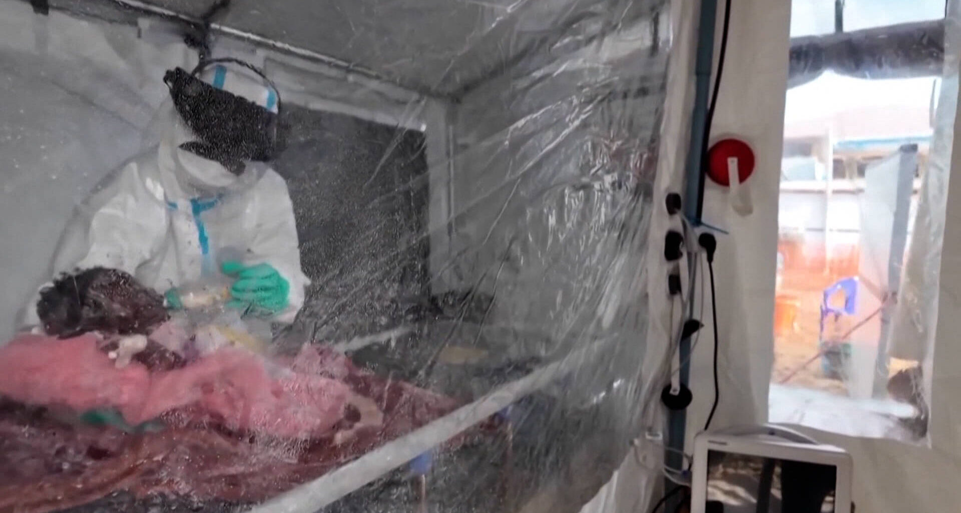 Ebola Cases in the Democratic Republic ⁠of Congo Tops 7,000 - Democracy Now!