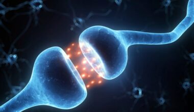 Hormone therapy during menopause transition associated with lower heart disease risk
