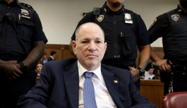 Harvey Weinstein sentenced to 15 years after sexual assault conviction – The Irish Times