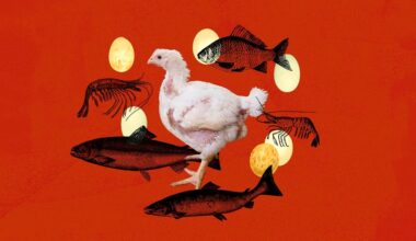 How to help a lot of animals (without going vegetarian)