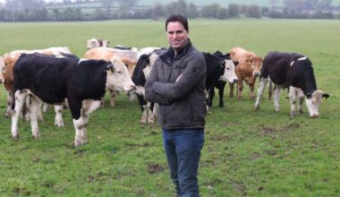 Minister for Agriculture has largest farmlands among TDs and Senators – The Irish Times