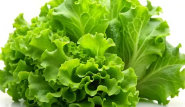 Grocery inflation flat in August, up 2.2% for the year