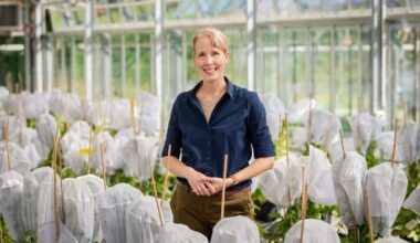Plant Hormones Reveal Crop Disease Resistance Pathway