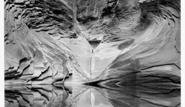Where to see artworks in Marin – Marin Independent Journal