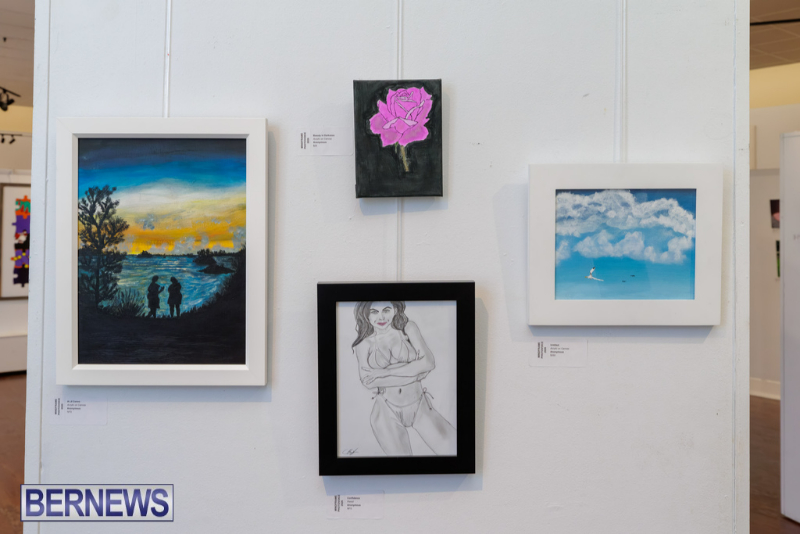 MindFrame PhotoVoice Exhibition Event Bermuda Sept 2026 (11)
